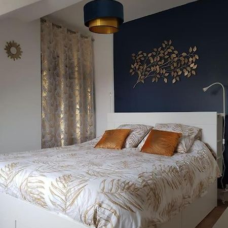 Appartement Lumineux Et Moderne ルマン エクステリア 写真